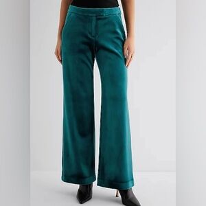 Teal Express Mid Rise Velvet Relaxed Trouser Pants size 12 Short